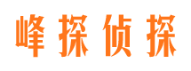 岭东市侦探调查公司